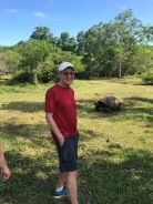 My first encounter with a Galapagos Giant Tortoise.